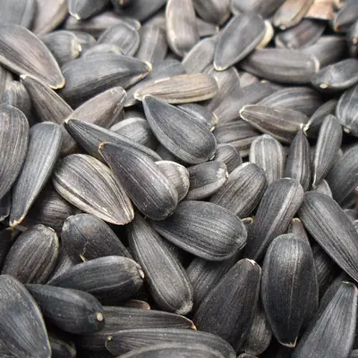 Representative photo for Ranch Sunflower Seeds, 5.25 oz