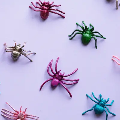 Representative photo for Stretchy Rubber Bugs, Assorted