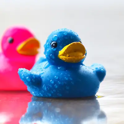 Representative photo for Squishy Squeeze Ducks, Assorted Colors